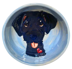 Black Labrador Retriever