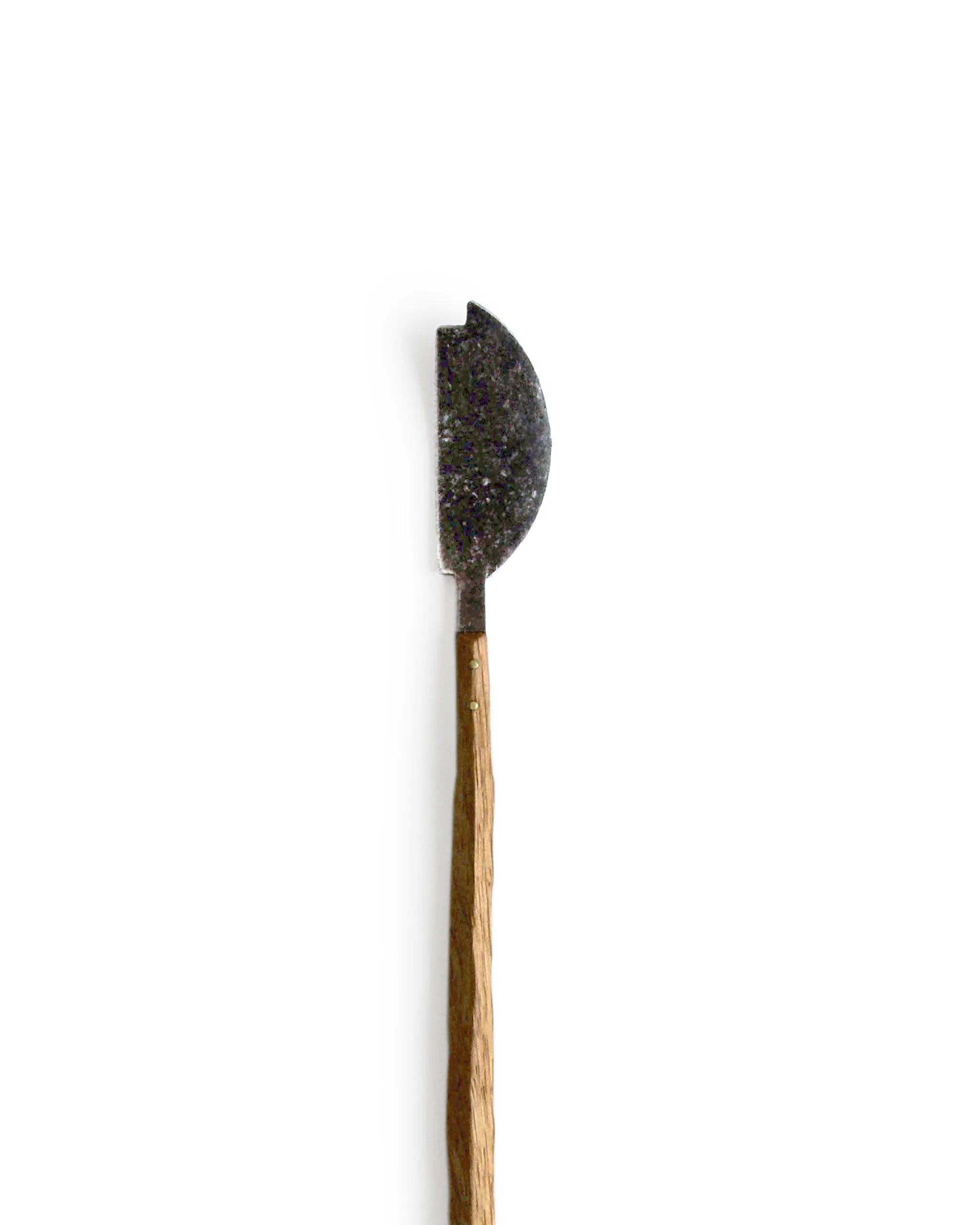 Oak Sprout Chashaku Tea Ladle - Abstract (OUT OF STOCK)