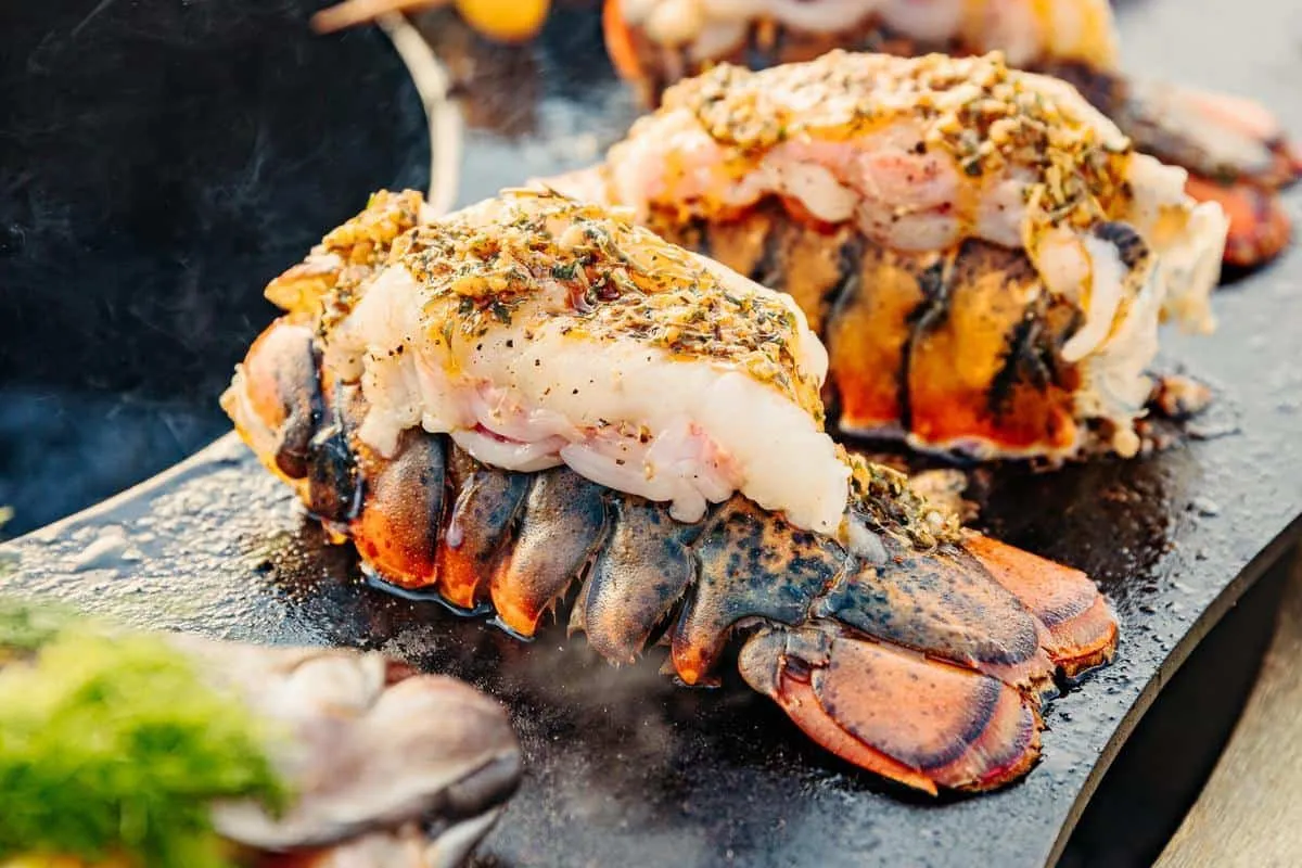 SearPlate™ Griddle